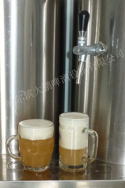 供应大鹏啤酒设备DP--30大鹏家庭酿制鲜啤酒