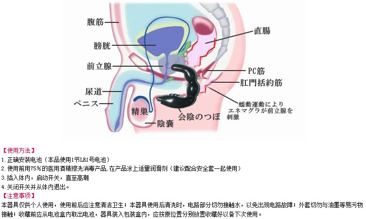 前列腺按摩器+-+前列腺按摩器