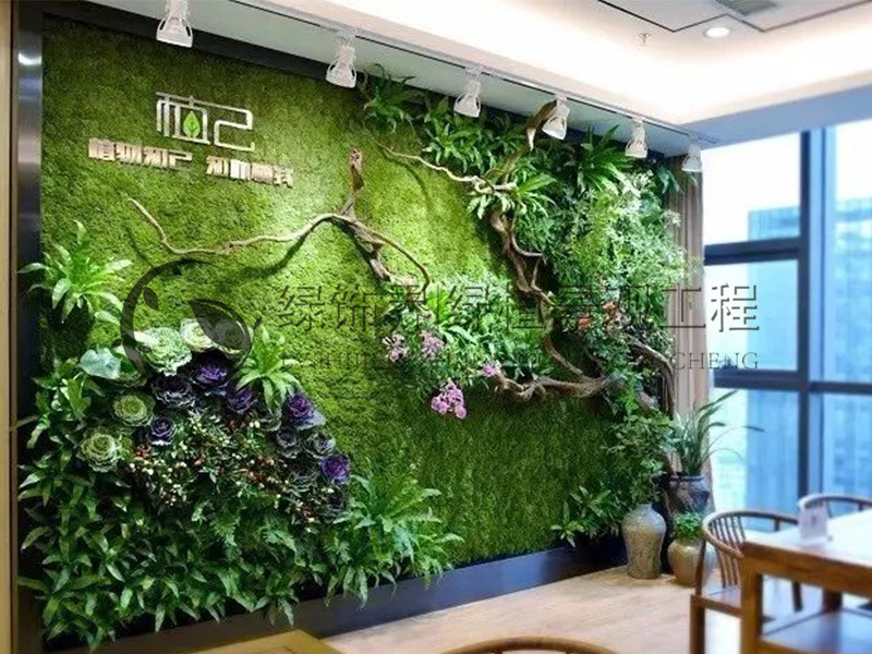 人造植物墙多少钱_河南植物墙_纯植物墙衣