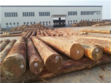 秦皇岛|建筑木方|木材加工厂
