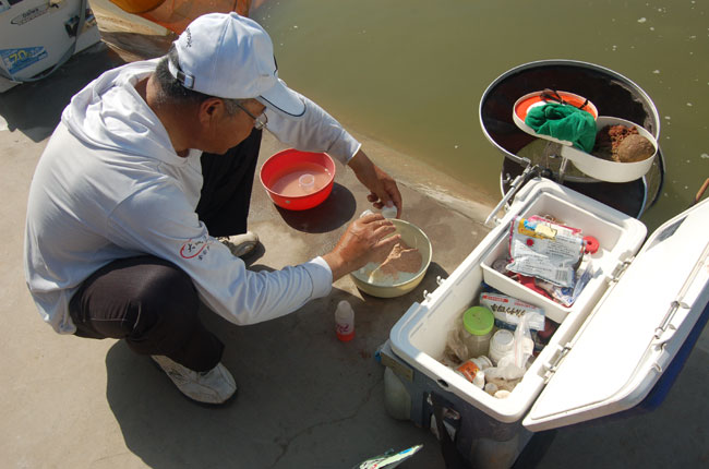 西安顺水杯钓鱼比赛在大荔县西婆合生态园隆